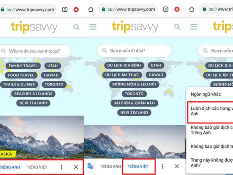 Các dịch trang web trên Iphone
