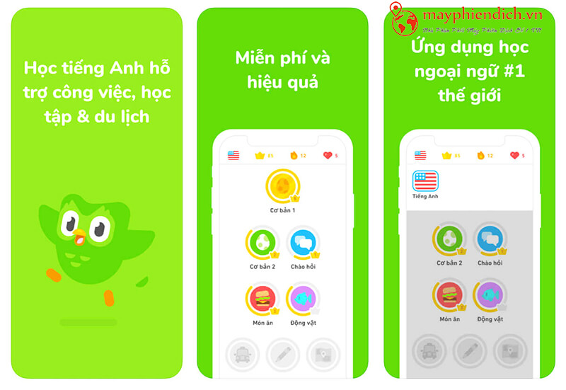 Phần mềm học tiếng anh miễn phí Duolingo