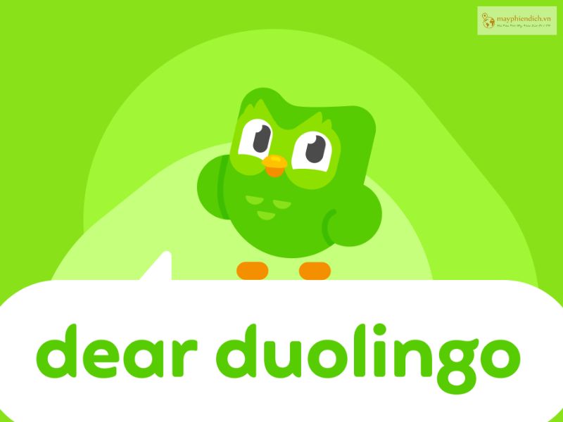 App học tiếng Hàn cho người Việt Duolingo