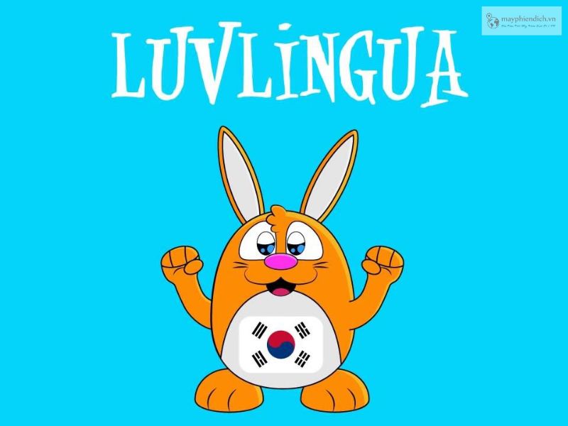 Phần mềm giao tiếp tiếng Hàn LuvLingua