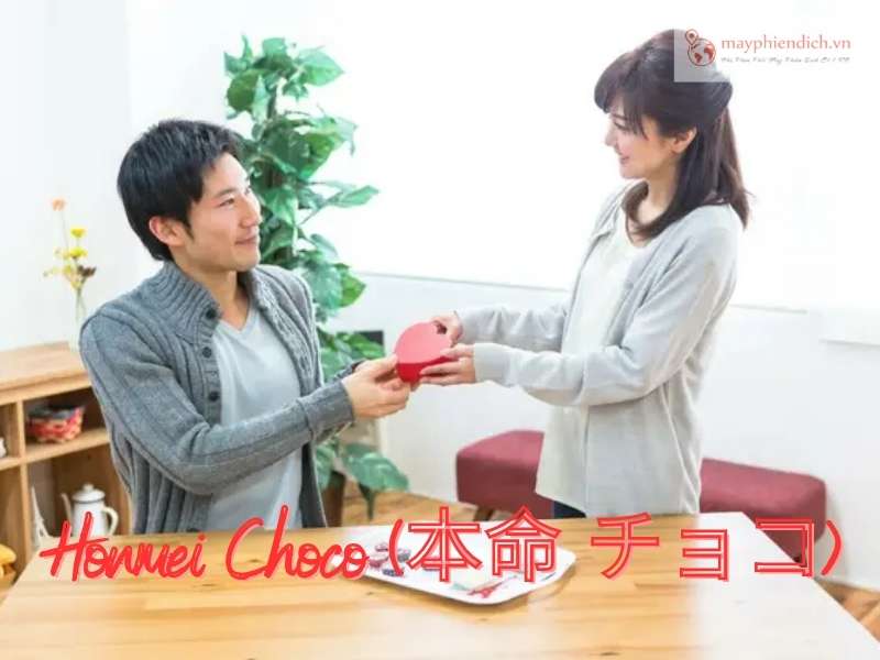 Honmei Choco văn hóa valentine Nhật Bản