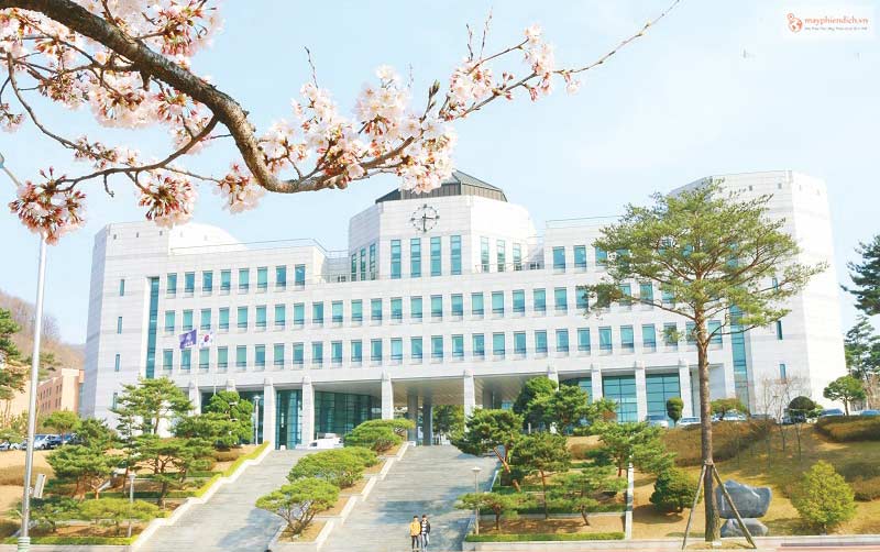Lựa chọn trường đại học và ngành học khi đi du học Hàn Quốc