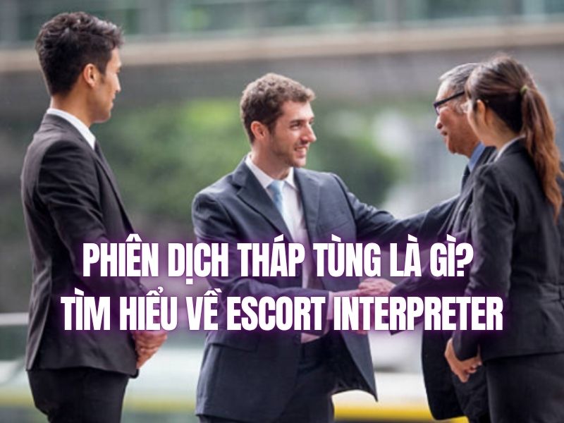 Phiên Dịch Tháp Tùng Là Gì