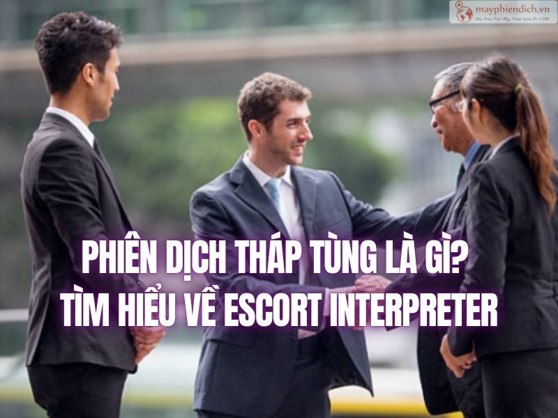 Phiên Dịch Tháp Tùng Là Gì